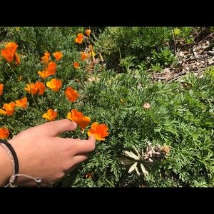 Meet your Posher, Jada